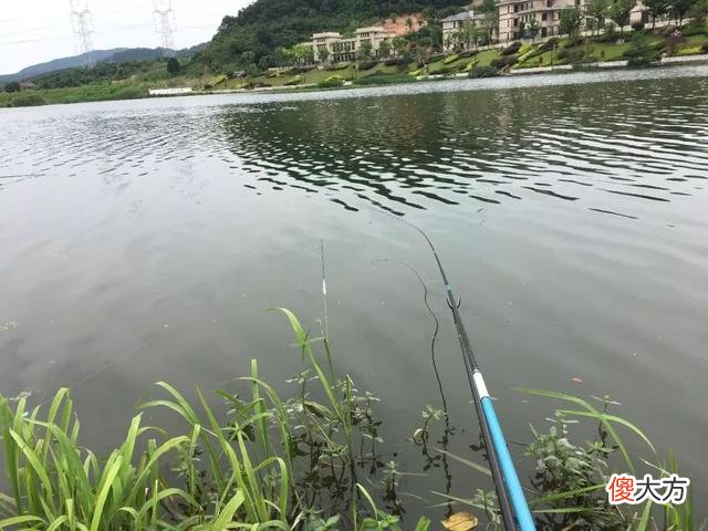 手竿钓翘嘴怎么钓 手竿钓翘嘴怎么钓?钓翘嘴用什么饵料最好?