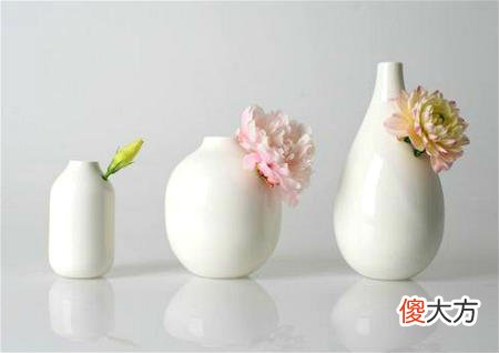 怎样可以招桃花运