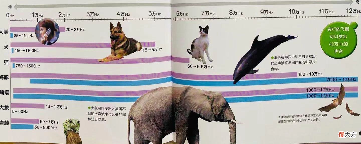 萤火虫的光根本照不清字 萤火虫的光虽然微弱
