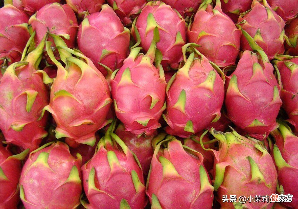 这6种寓意好 寓意好的象征