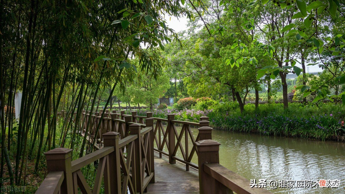 古诗词里的竹子 关于竹子的古诗