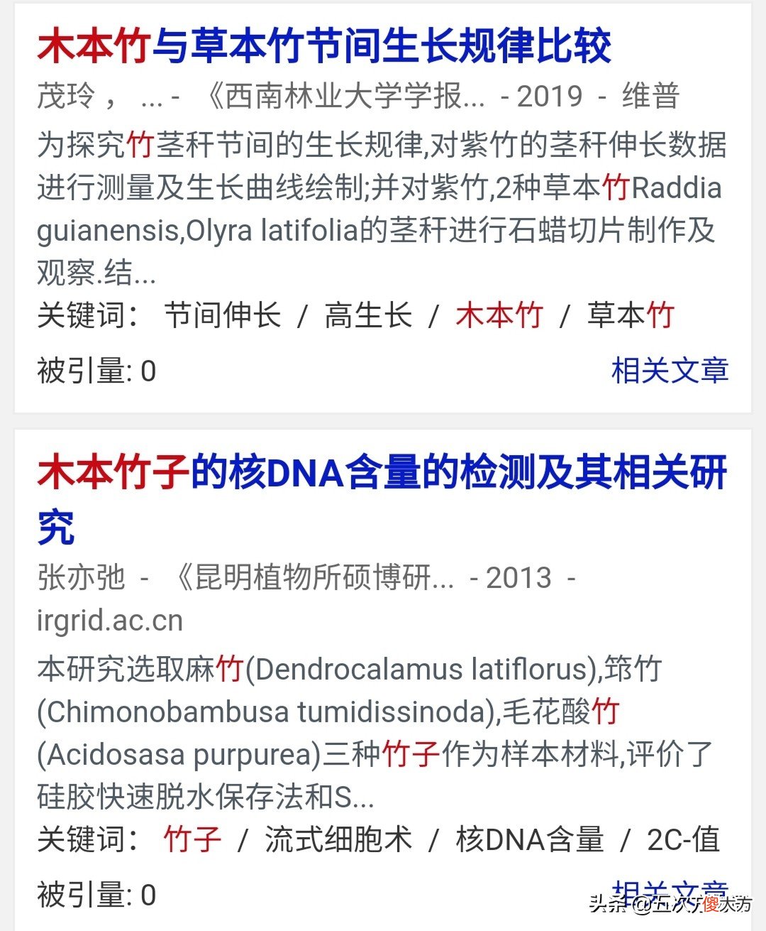 竹子到底是草本还是木本 竹子是灌木还是草本