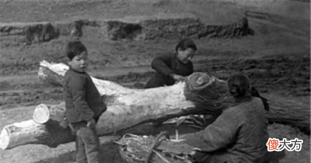 【爱历史】古代灾荒期间，灾民为何宁愿吃草根，也不下河捞鱼捕虾？
