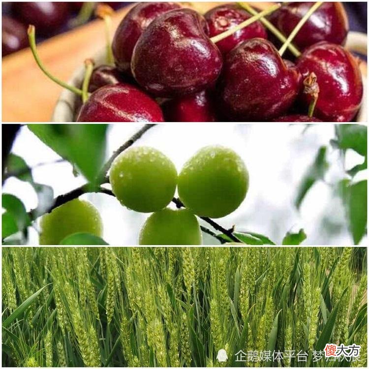 二十四节气：今天是立夏，古人在这一天干些什么呢？