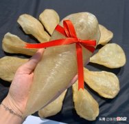 鱼胶越大越好吗 鱼胶是越大越好吗