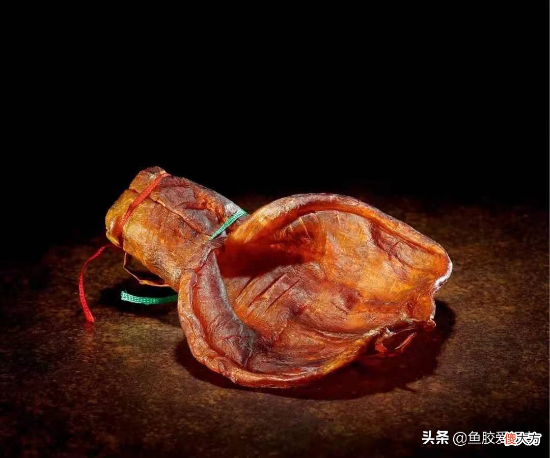 鱼胶越大越好吗 鱼胶是越大越好吗