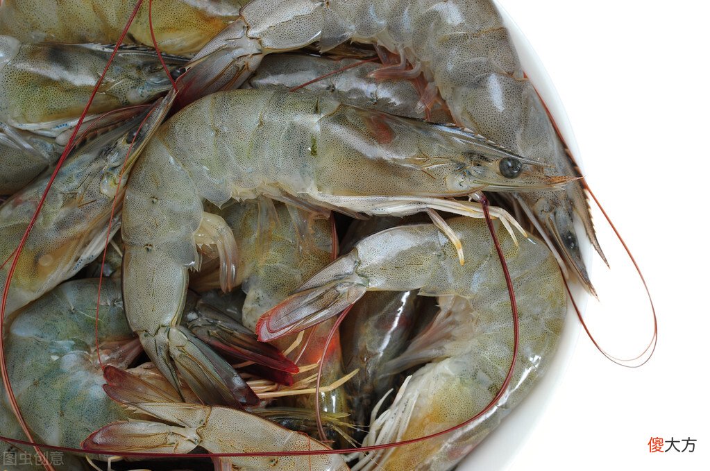 临期食品不能吃 临期食品不能吃吗