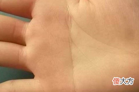 假断掌的女人命运怎么样