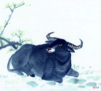 【十二星座】立夏过完后，4生肖日有福，夜有喜，连续一个月抓住好运气