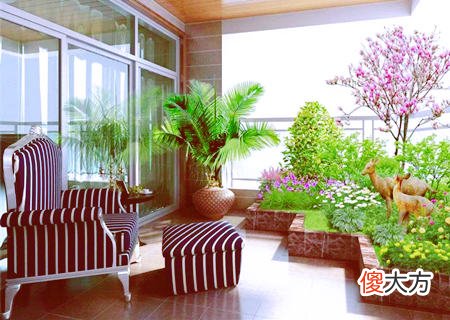 阳台放什么风水好