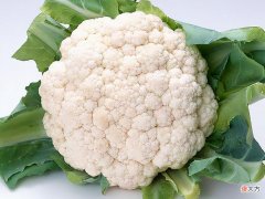 这些蔬菜我们吃的都是它的花 什么蔬菜吃的是它的花