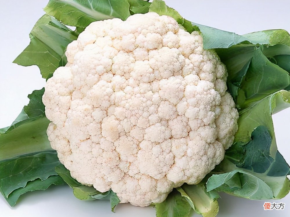 这些蔬菜我们吃的都是它的花 什么蔬菜吃的是它的花