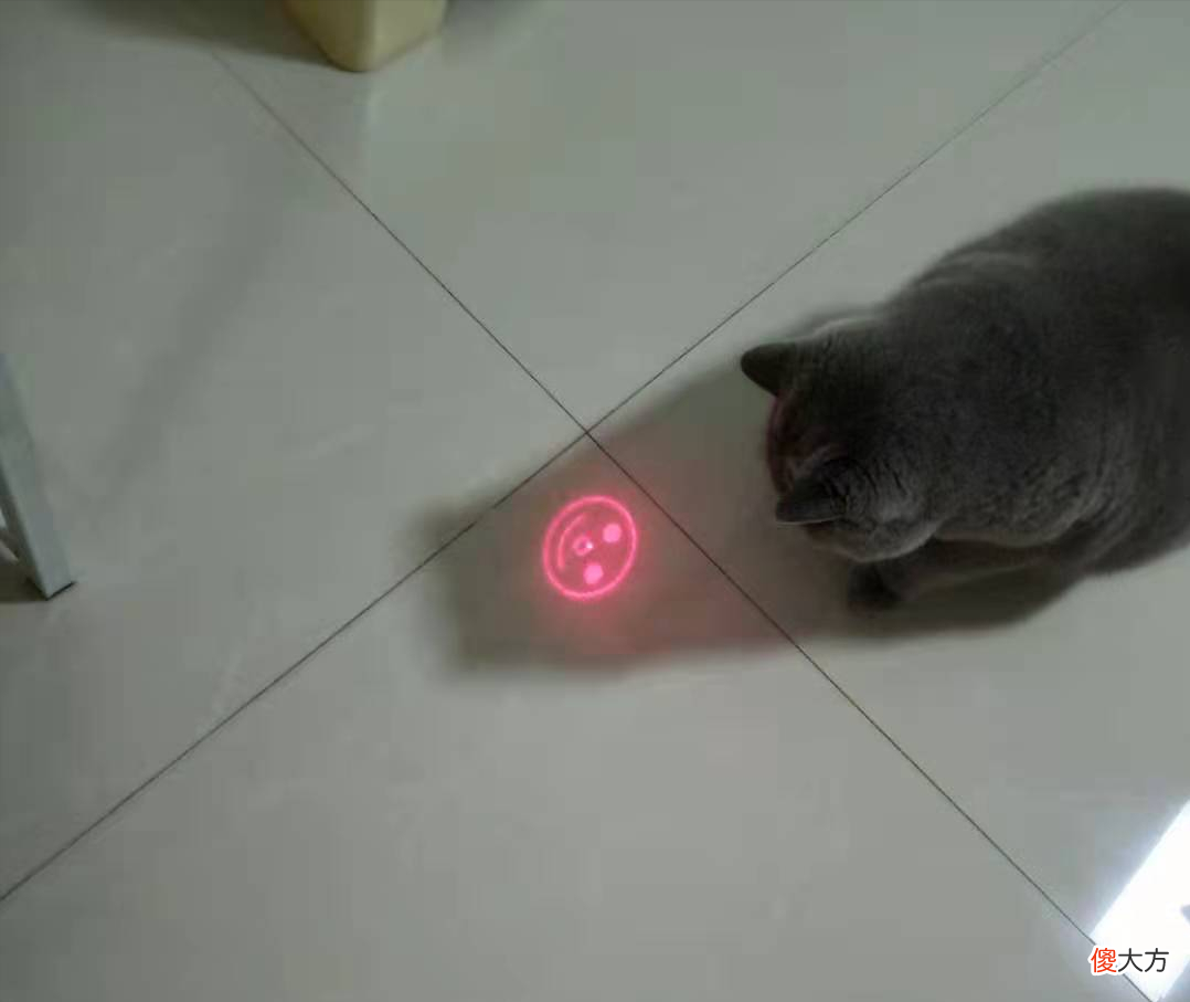 为什么不建议频繁给猫咪玩激光笔 猫咪为啥喜欢玩激光笔