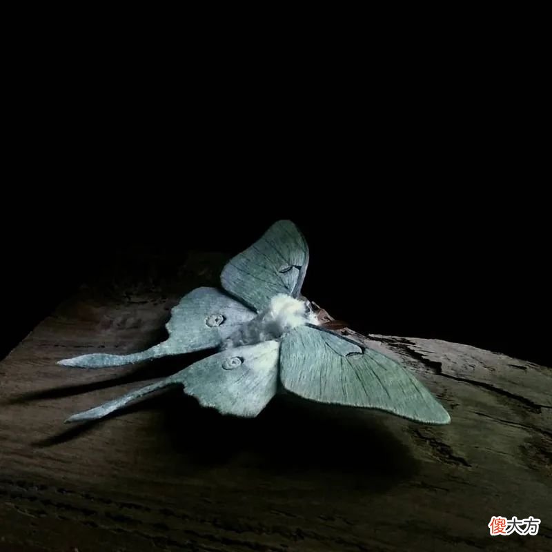 栩栩如生的蝴蝶雕塑 抽象蝴蝶雕塑