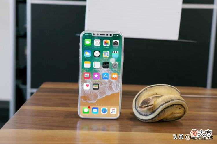 苹果见证塑料兄妹情 塑料苹果三姐妹