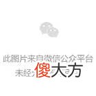 【历史故事】他和5个儿子6个孙子2个侄子8个侄孙，全部战死..