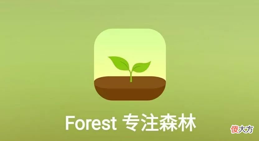 学习永远不晚——推荐几款手机学习软件