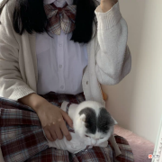 给宠物做衣服 给宠物做衣服如何做