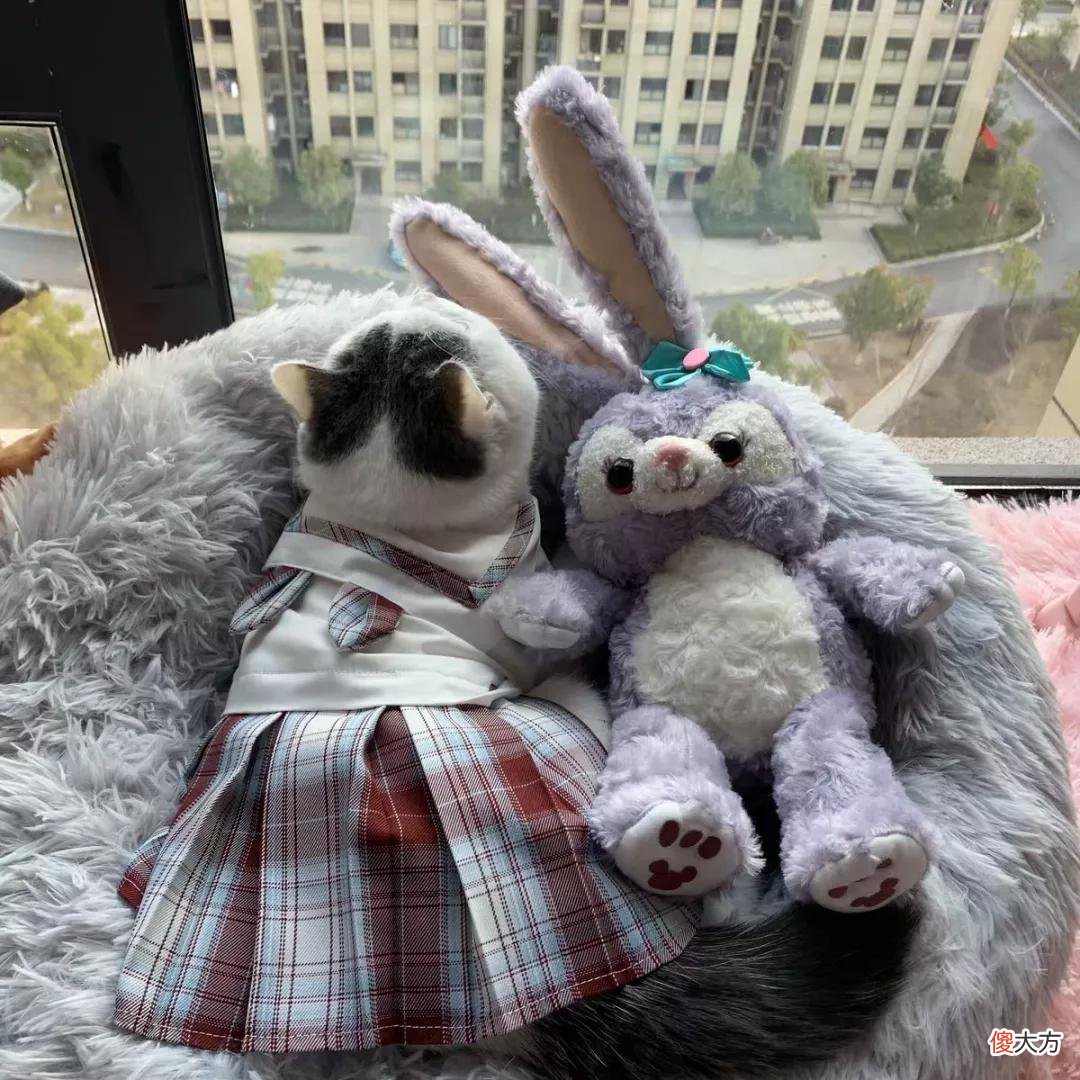 给宠物做衣服 给宠物做衣服如何做