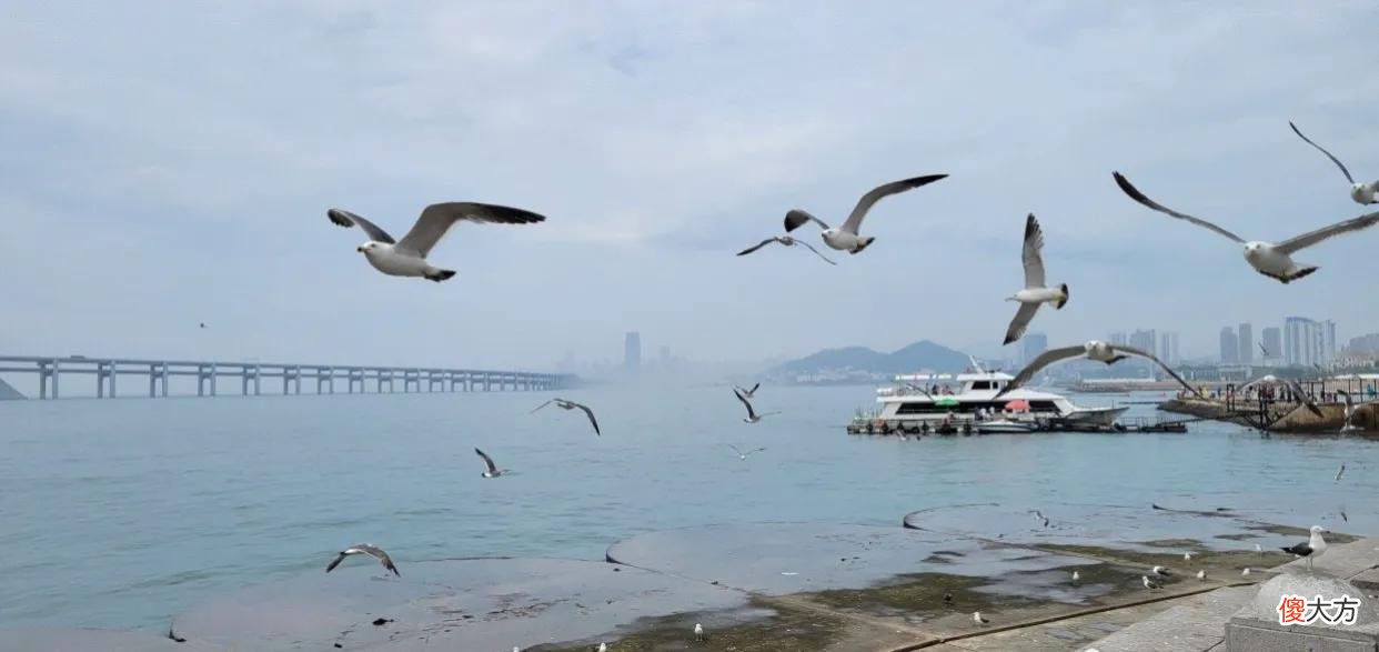 亚洲最大的星海广场 星海广场亚洲第几大