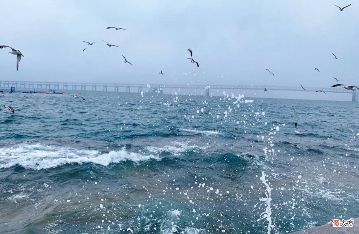 亚洲最大的星海广场 星海广场亚洲第几大