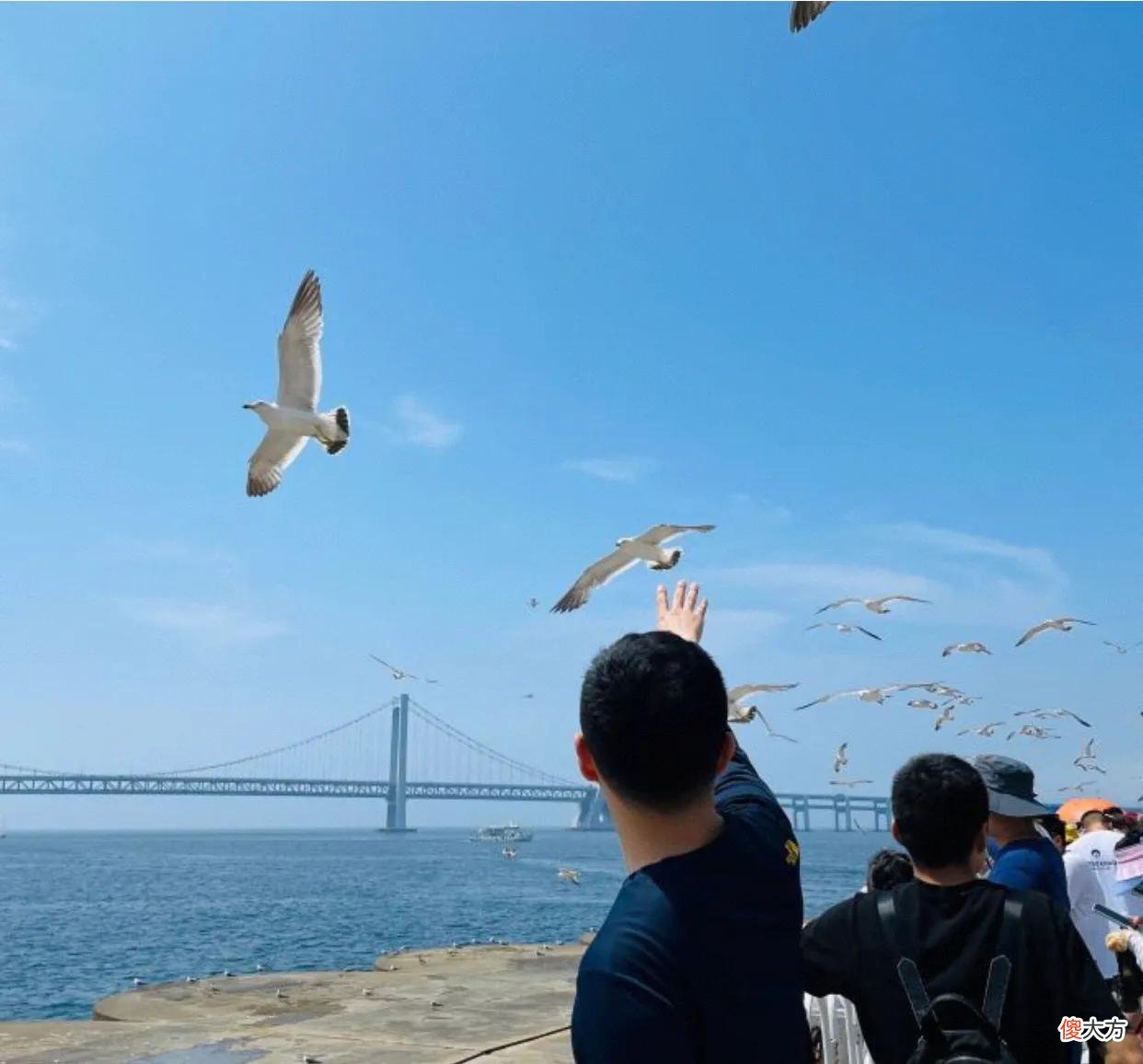 亚洲最大的星海广场 星海广场亚洲第几大