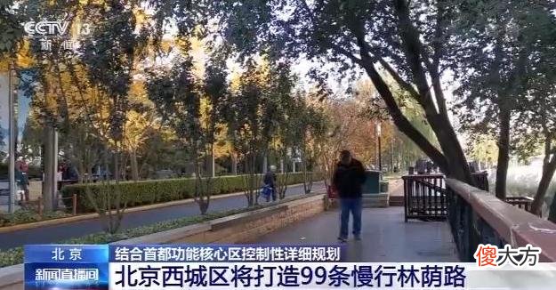 在北京的CBD 在北京的大学有哪些