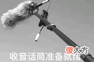 手机和相机都兼容的麦会不会不专业 耳机麦和手机不兼容