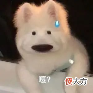 表情包| 今天其实是周四吧 开心表情包来了