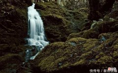 【十二星座】5月，桃花运上上签，将邂逅良人，爱情梦想接近现实的三大生肖