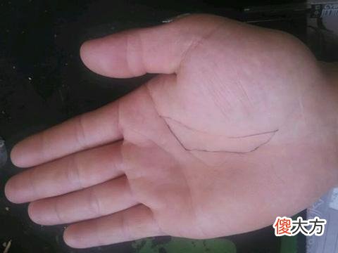 富贵的手相有何特点