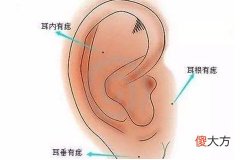 耳朵上长痣的含义