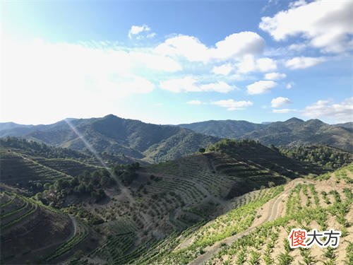 一只红酒品牌进口代理价格是多少 代理进口红酒需要多少钱
