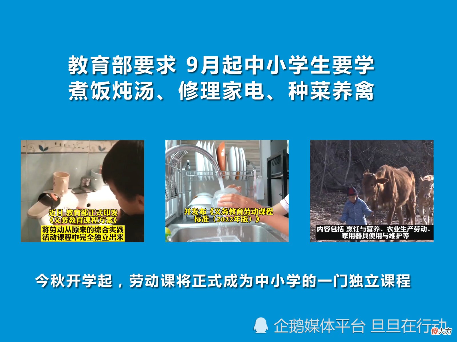 多年前的劳动课，如今又回来啦！你怎么看？教育部要求9月起中小学生要学煮饭炖汤、修理家电、种菜养禽