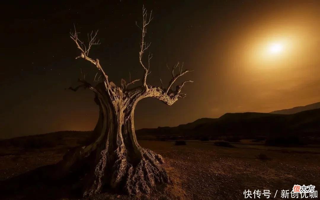 【十二星座】2022年，好运飞涨，工作能力强，人中龙凤，最值得骄傲的三大生肖