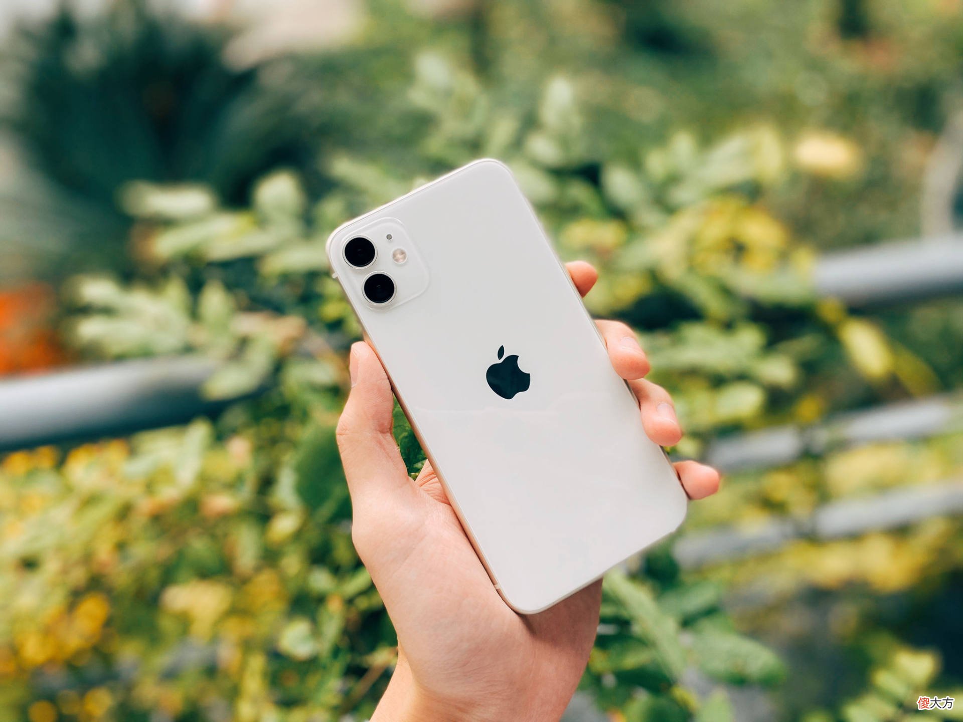 苹果手机虽好但也分三六九等，这3款iPhone手机，不花一分冤枉钱第一款：iPhone13 Pro第二款：iPhone12第三款：iPhone 11