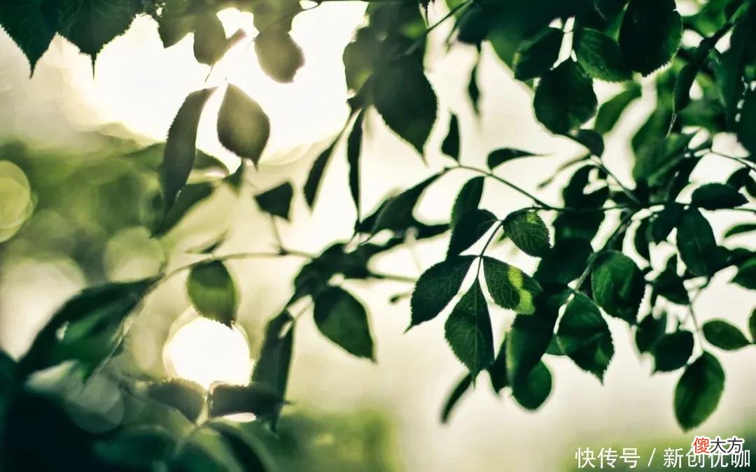 【星座控】最让异性动心的三大生肖，言行优雅，气质过人，却又让人不敢亲近