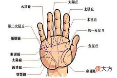 男人手纹乱好吗
