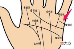 男人哪种手相好
