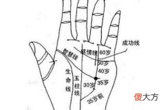 男人左手手纹算命图解