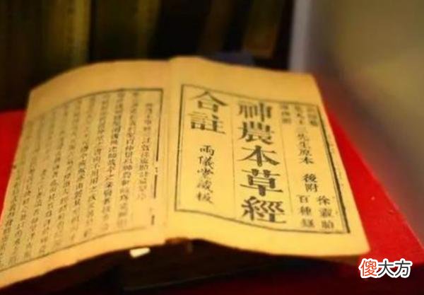 壁虎到底有什么可怕之处 壁虎的可怕之处