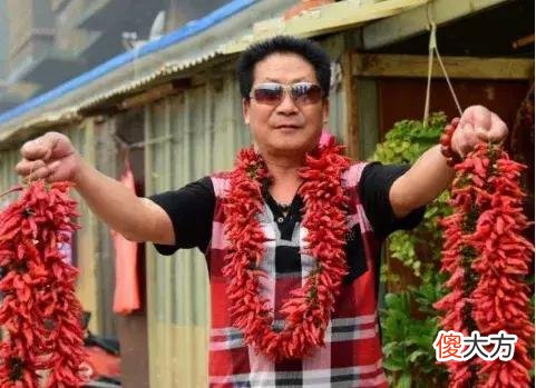 每天吃5斤辣椒配白酒 吃辣椒喝白酒