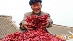 盘点中国最能吃辣的前三名和辣椒种类前三名 中国什么辣椒最辣排名