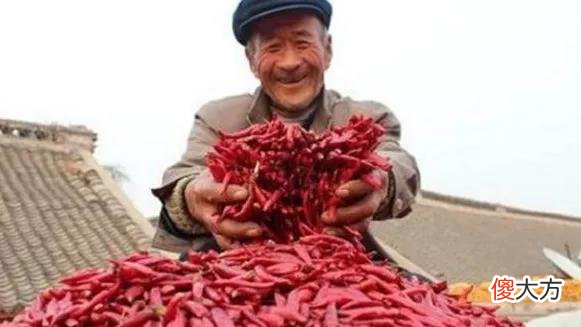 盘点中国最能吃辣的前三名和辣椒种类前三名 中国什么辣椒最辣排名