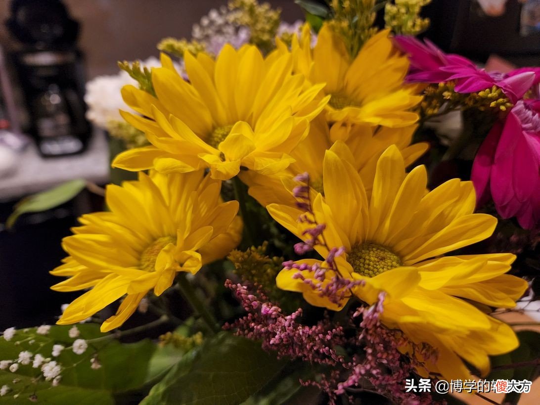 袖珍手机具有出色的相机 袖珍相机推荐