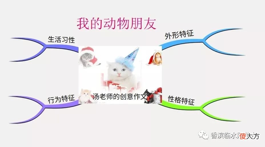 我的动物朋友 我的动物朋友乌龟