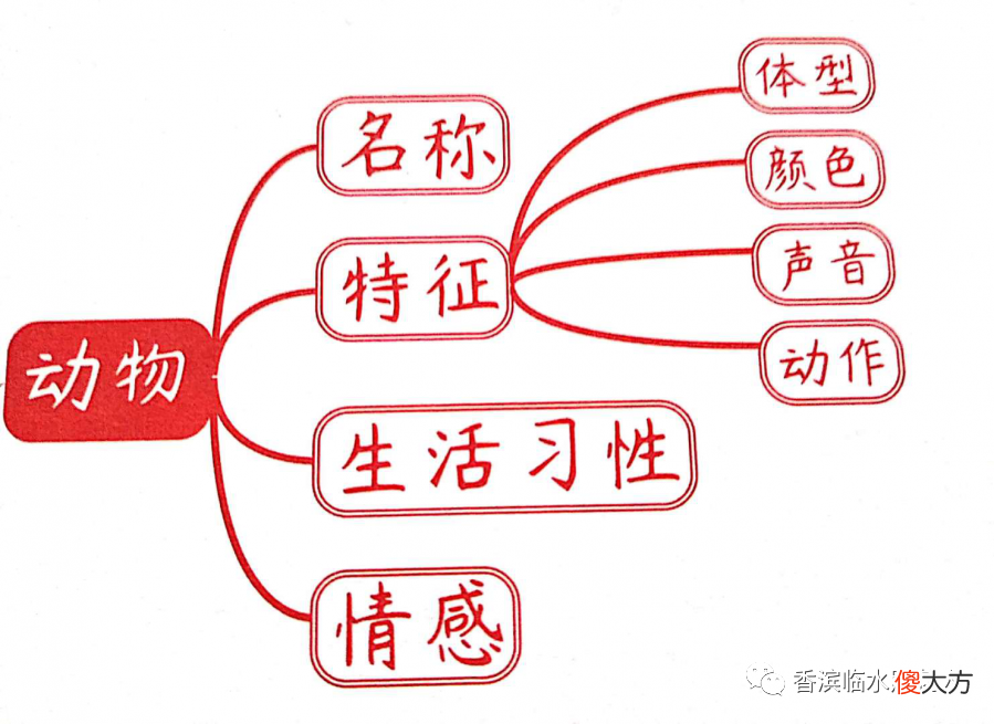 我的动物朋友 我的动物朋友乌龟