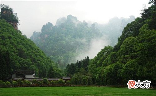 属蛇的人最怕什么生肖