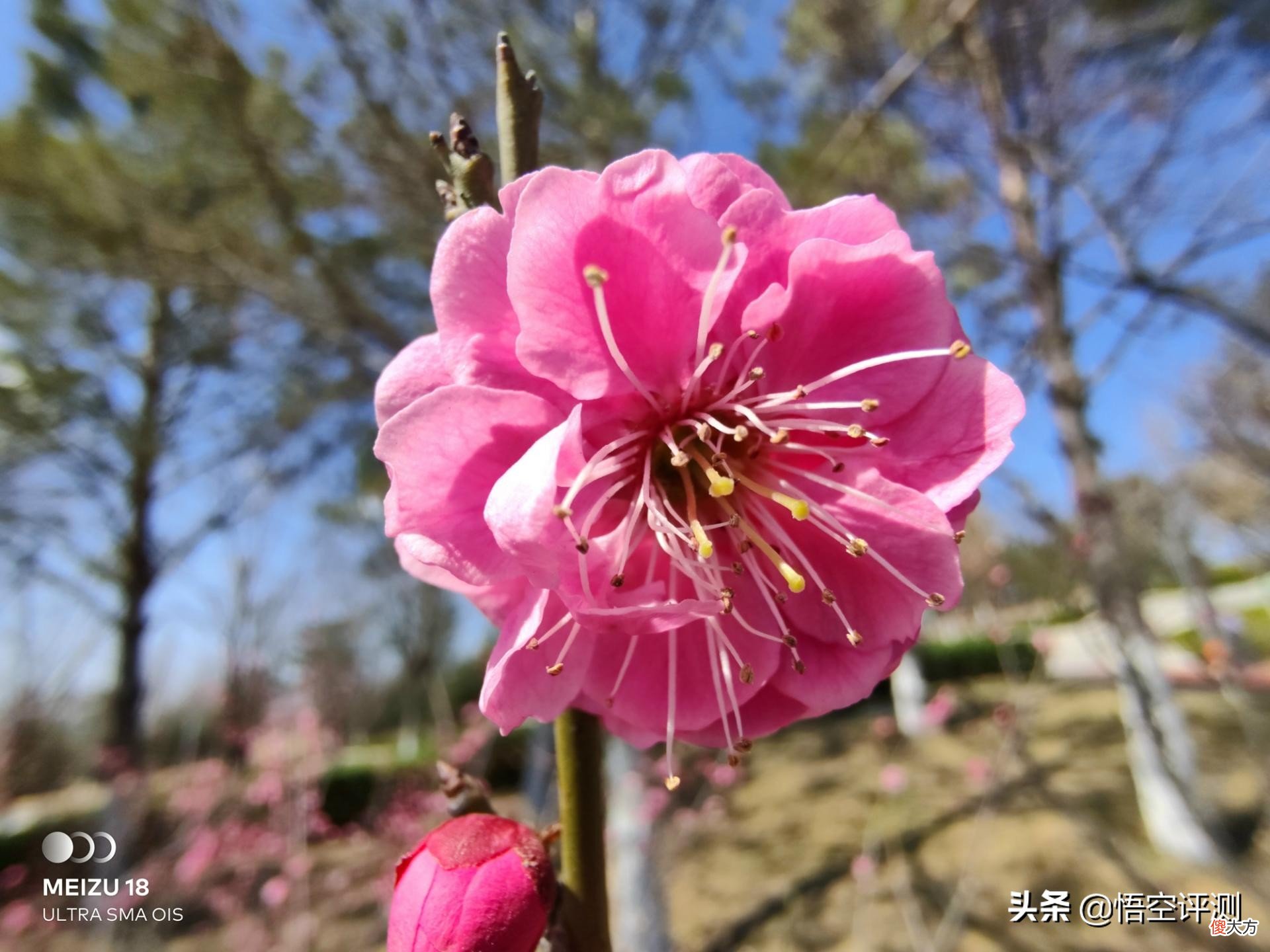 唯一将安卓优化成iOS的手机 安卓手机秒变ios系统