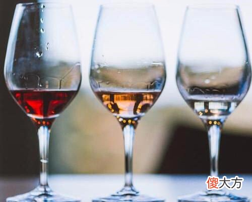 红白葡萄酒酒杯的区别 红白葡萄酒杯区别